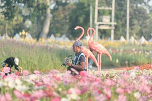 BIB: 
                            <button type="button" onclick="openModal(27344100)" class="btn btn-primary btn-sm float-right btn-popup" data-toggle="modal" data-target=".modal-high-quality">
                        <i class="fas fa-shopping-cart"></i> Add to Cart
                    </button>
                                            <button type="button" onclick="isThisMe(27344100, true)" class="btn btn-success btn-sm float-right btn-popup btn-isme hidden" data-toggle="tooltip" data-placement="bottom" title="นี่คือรูปของคุณใช่ไหม คลิกที่นี่เพื่อเอาเข้าอัลบั้ม">
                        <i class="fas fa-plus"></i> Add to album
                    </button>
                    <button type="button" onclick="isThisMe(27344100, false)" class="btn btn-warning btn-sm float-right btn-popup btn-isnotme hidden">
                        <i class="fas fa-ban"></i> Remove from album
                    </button>